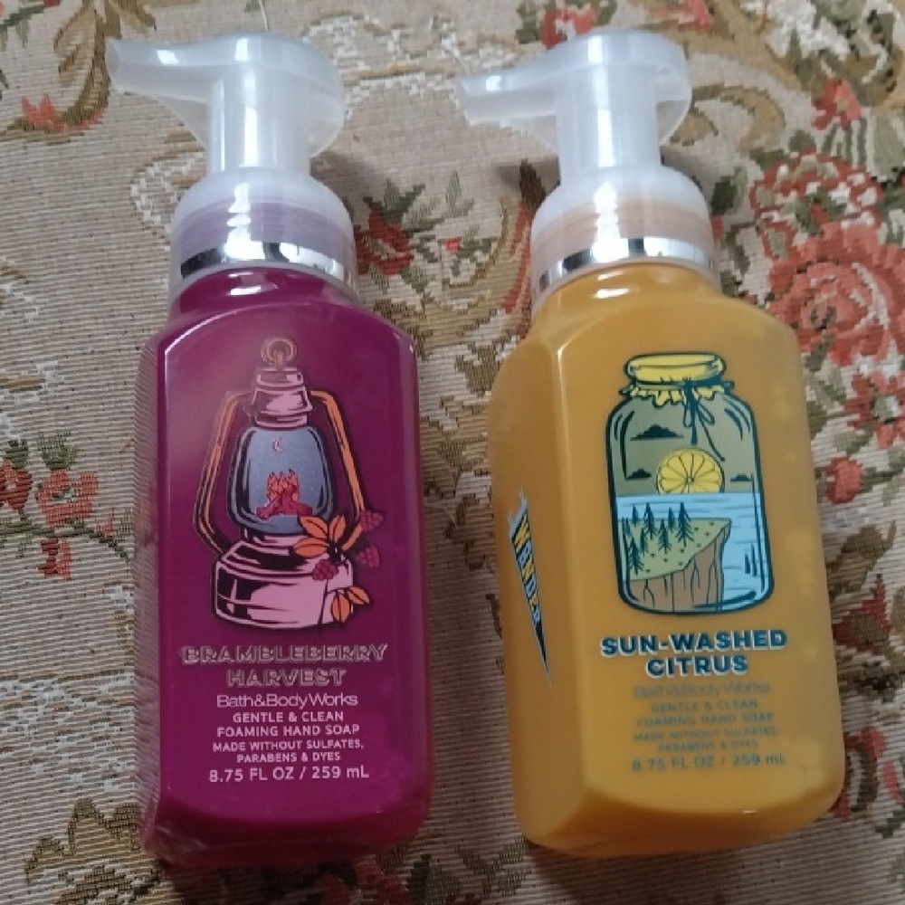 Bath & Body Works 2 Foaming Hand Soaps Holiday Fruit Citrus Scents.